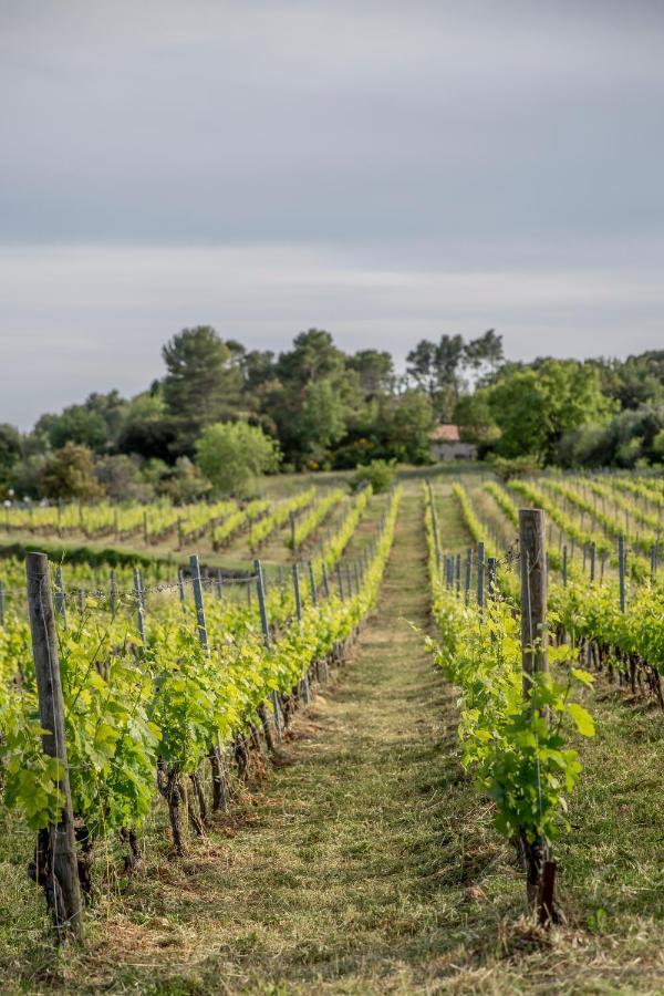 Domaine Rabiega - Vineyard And Boutique Hotel Draguignan Luaran gambar