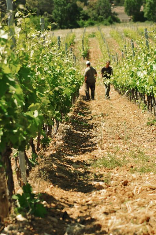 Domaine Rabiega - Vineyard And Boutique Hotel Draguignan Luaran gambar